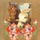 Equestrian Horse Pictures and Wallpapers