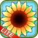 Sunshine Acres Lite