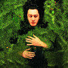 Couverture/Pochette de l'album Fantaisie militaire par Alain Bashung